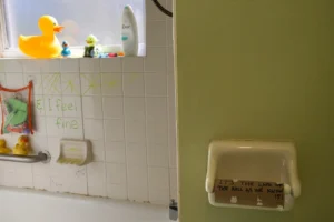 "It's the end of the world as we know it and I feel fine"...a classic line from an R.E.M. song that is more apropos than ever before. And we need a little humor in these days.. related to Bathroom Wall Art That Survives Moisture and Matches Your Fixtures